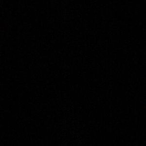 Meet your Posher, Arianna